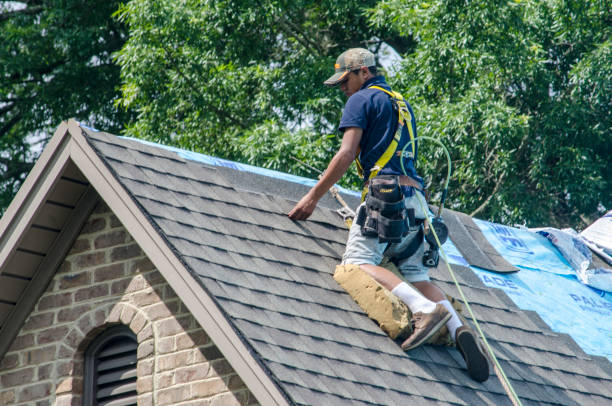 Professional Roofing Contractor in Angola, NY